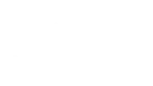 Logo AgNumo full service