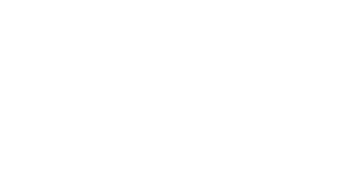 Logo AgNumo full service