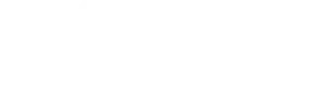 Logo AgNumo full service