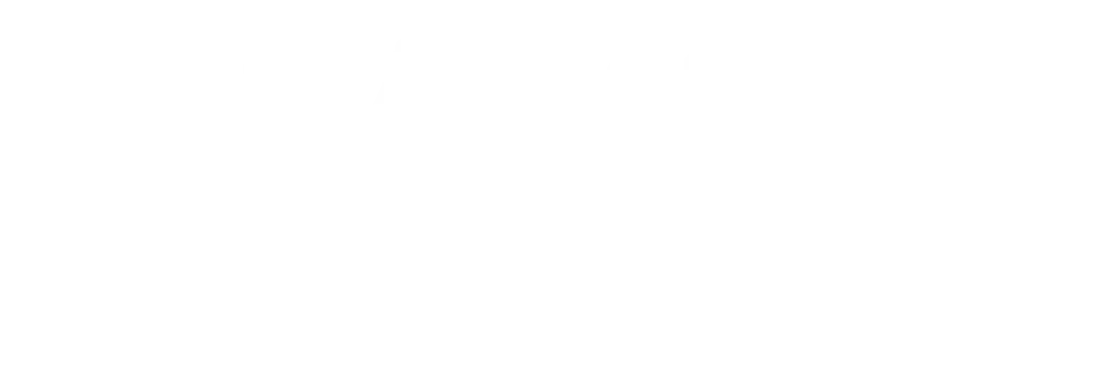 Logo AgNumo full service